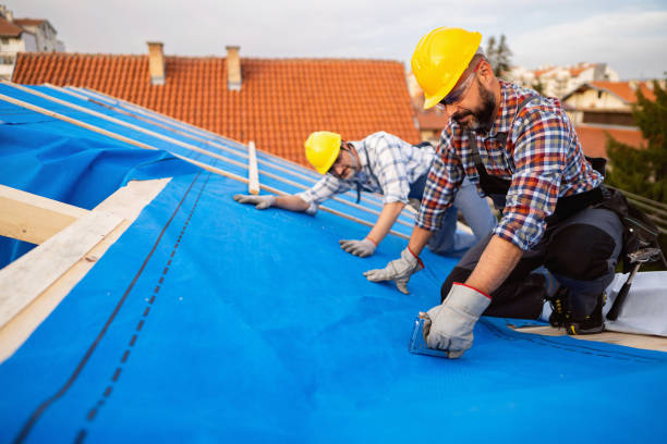Best Best Roofing Contractors  in Beechwood, MI