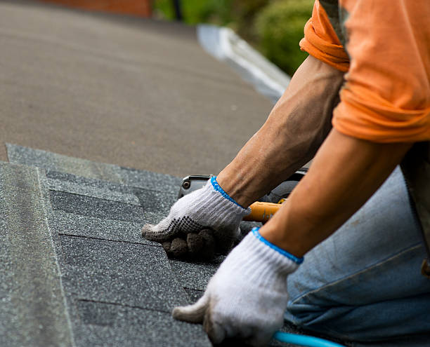 Best Residential Roofing Contractor  in Beechwood, MI