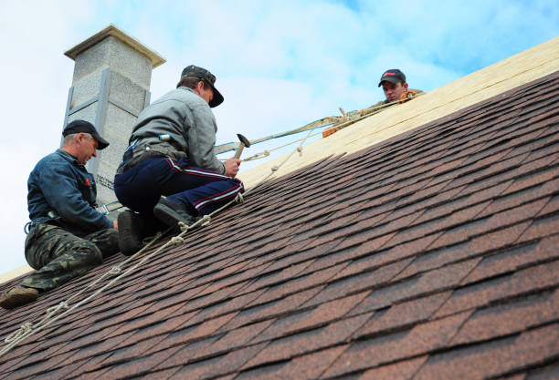 Best Tile Roofing Contractor  in Beechwood, MI