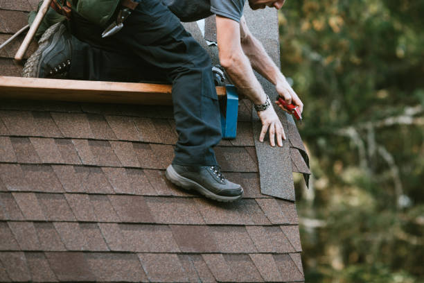 Best Roof Waterproofing Services  in Beechwood, MI